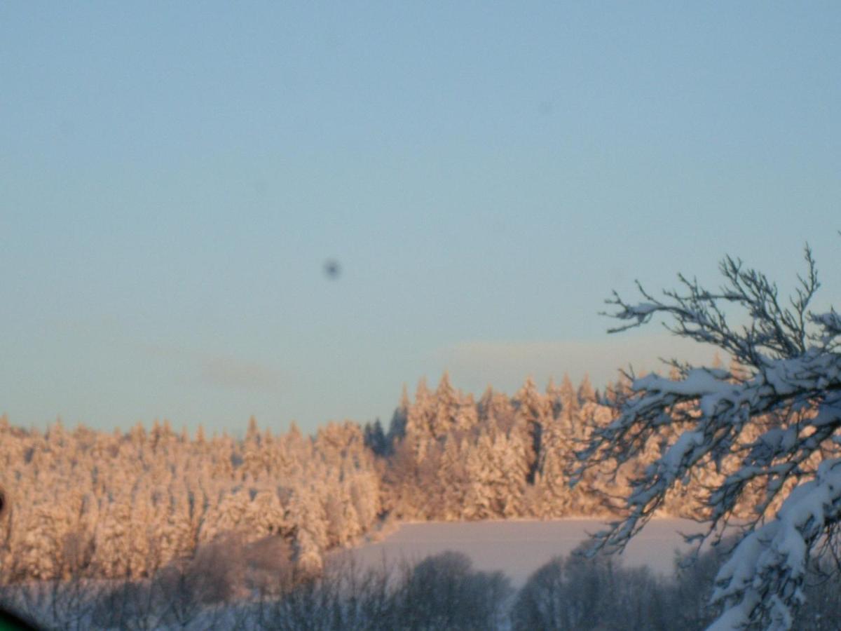 Location Vacances Des 4 Vents Girmont-Val-dʼAjol Buitenkant foto